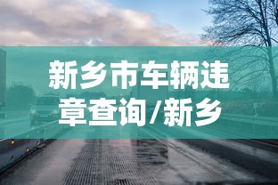 新乡市车辆违章查询/新乡市车辆违章查询电话