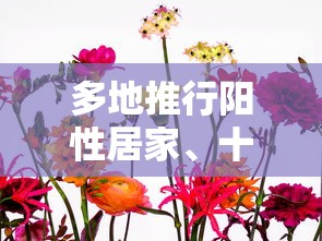 多地推行阳性居家、十字花隔离/十字隔离骨架