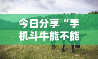 今日分享“手机斗牛能不能开挂”的确是有挂