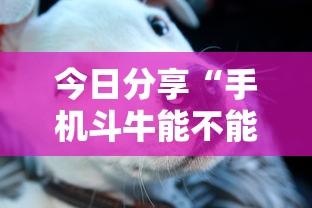 今日分享“手机斗牛能不能开挂”的确是有挂