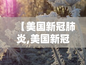 【美国新冠肺炎,美国新冠肺炎死亡多少】