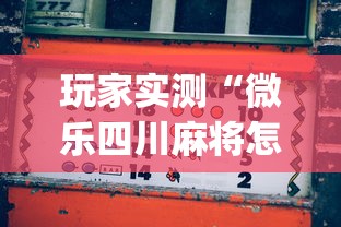 西宁谈疫情期间一颗白菜近50/西宁白菜多少钱一斤 西宁谈疫情期间一颗白菜近50/西宁白菜多少钱一斤