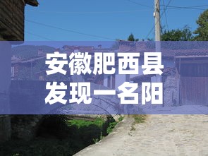安徽肥西县发现一名阳性人员:安徽肥西再增一例