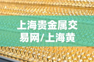 上海贵金属交易网/上海黄金交易所大盘