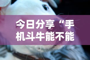 玩家必读“微乐麻将怎么赢”其实确实有挂