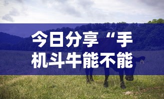今日分享“手机斗牛能不能开挂”其实确实有挂