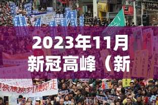 2023年11月新冠高峰(新冠2022年) 2023年11月新冠高峰(新冠2022年)