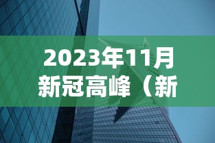 2023年11月新冠高峰（新冠2022年）