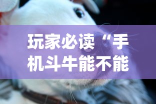 玩家必读“手机斗牛能不能开挂”(确实真的有挂)
