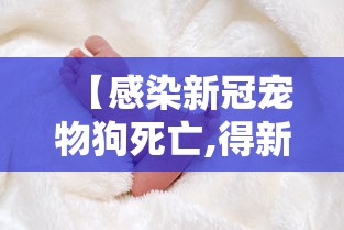 【感染新冠宠物狗死亡,得新冠病毒家里的狗会怎么处理】 【感染新冠宠物狗死亡,得新冠病毒家里的狗会怎么处理】