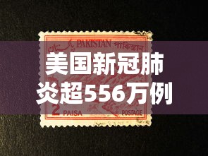 美国新冠肺炎超556万例:美国新冠肺炎超2965万例 美国新冠肺炎超556万例:美国新冠肺炎超2965万例