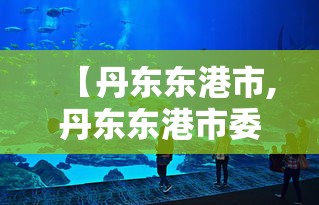 【丹东东港市,丹东东港市委领导班子】 【丹东东港市,丹东东港市委领导班子】