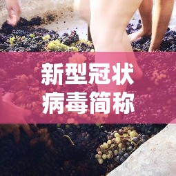 教程开挂辅助“ 微乐买月卡能提高胜率吗”其实确实有挂
