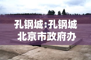 孔钢城:孔钢城 北京市政府办公厅