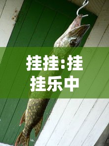 挂挂:挂挂乐中奖率高吗