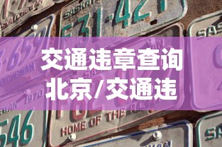 交通违章查询北京/交通违章查询北京电话 交通违章查询北京/交通违章查询北京电话