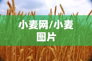 【黄杏初怎么被感染的/黄杏初为何会感染非典】