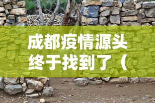 成都疫情源头终于找到了（成都疫情 源头）