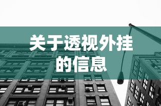 关于透视外挂的信息