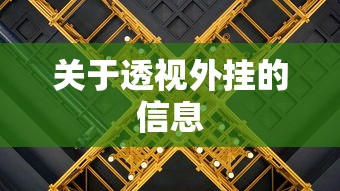 关于透视外挂的信息