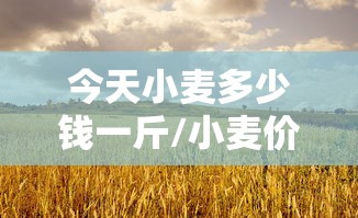 今天小麦多少钱一斤/小麦价格最新行情今天多少一斤 今天小麦多少钱一斤/小麦价格最新行情今天多少一斤