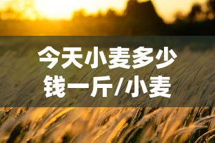 今天小麦多少钱一斤/小麦价格最新行情今天多少一斤 今天小麦多少钱一斤/小麦价格最新行情今天多少一斤