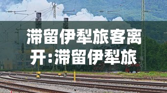 滞留伊犁旅客离开:滞留伊犁旅客离开怎么办