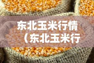 东北玉米行情（东北玉米行情走势图）