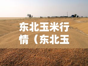 东北玉米行情（东北玉米行情走势图）