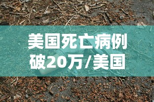 美国死亡病例破20万/美国累计死亡病例达218410 美国死亡病例破20万/美国累计死亡病例达218410