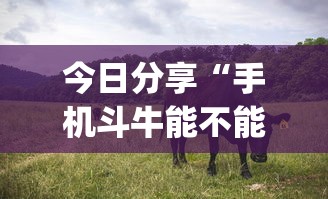 今日分享“手机斗牛能不能开挂”(确实真的有挂)