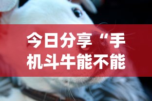 今日分享“手机斗牛能不能开挂”(确实真的有挂)