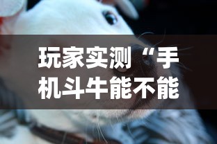 玩家实测“手机斗牛能不能开挂”(原来真的有挂)