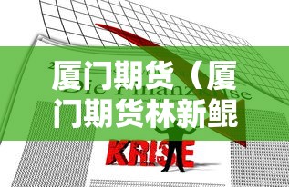 厦门期货（厦门期货林新鲲个人简历）