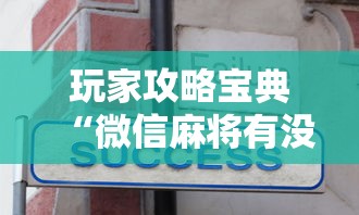 玩家攻略宝典“微信麻将有没有诀窍”的确是有挂
