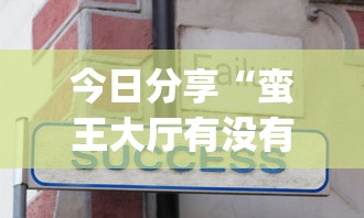 今日分享“蛮王大厅有没有挂”(透视)其实确实有挂