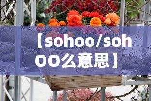 【sohoo/sohOO么意思】 【sohoo/sohOO么意思】