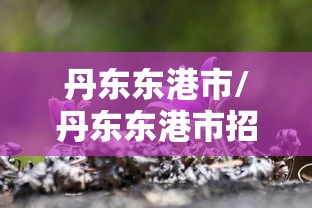 丹东东港市/丹东东港市招聘信息 丹东东港市/丹东东港市招聘信息