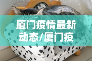 厦门疫情最新动态/厦门疫情最新动态分布图 厦门疫情最新动态/厦门疫情最新动态分布图