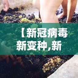 【新冠病毒新变种,新冠病毒新变种有哪些】 【新冠病毒新变种,新冠病毒新变种有哪些】