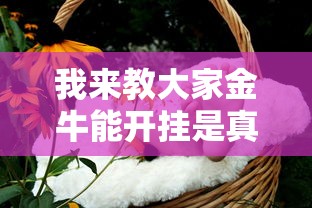 我来教大家金牛能开挂是真的吗开挂方法