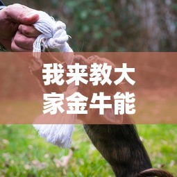 我来教大家金牛能开挂是真的吗开挂方法