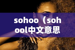 sohoo（sohool中文意思）