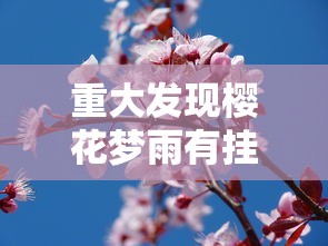 重大发现樱花梦雨有挂么确实是有挂