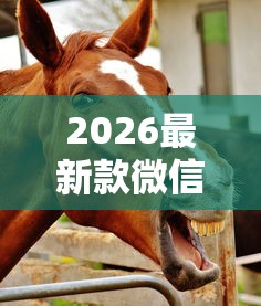 2026最新款微信斗牛透视是真的吗真可以装挂