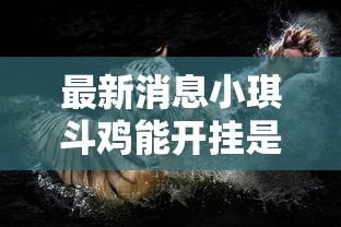 最新消息小琪斗鸡能开挂是真的吗有开挂教程