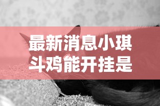 最新消息小琪斗鸡能开挂是真的吗有开挂教程 最新消息小琪斗鸡能开挂是真的吗有开挂教程