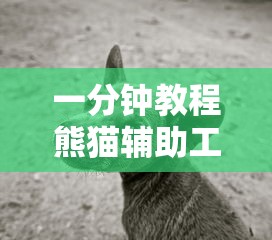 一分钟教程熊猫辅助工具的确可以开挂