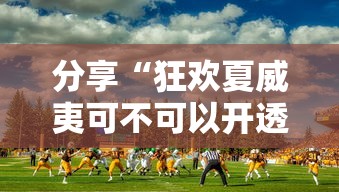 分享“狂欢夏威夷可不可以开透视挂其实可以装挂