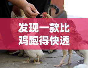 一分钟教程“天天畅玩德州有挂吗专用软件”必胜开挂神器